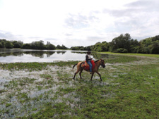 Brazil-Pantanal-Pantaneiro Ride in the Pantanal